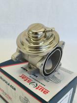 Autafastar EGRV01-009 - VÁLVULA EGR
