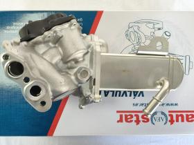 Autafastar EGRV06-003 - VÁLVULA EGR