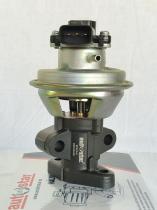 Autafastar EGRV06-004 - VÁLVULA EGR