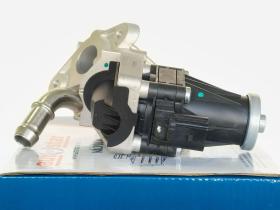 Autafastar EGRV06-010 - VÁLVULA EGR