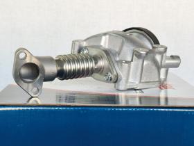 Autafastar EGRV09-008 - VÁLVULA EGR